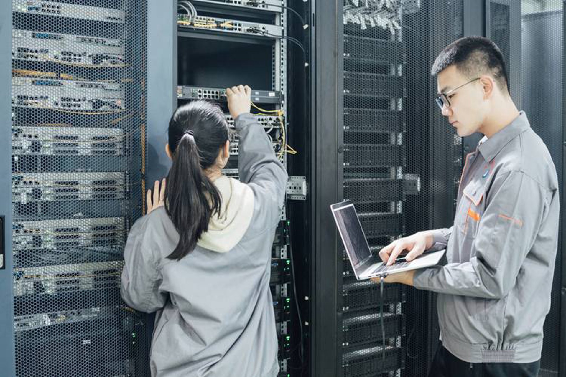 番粉信息技术